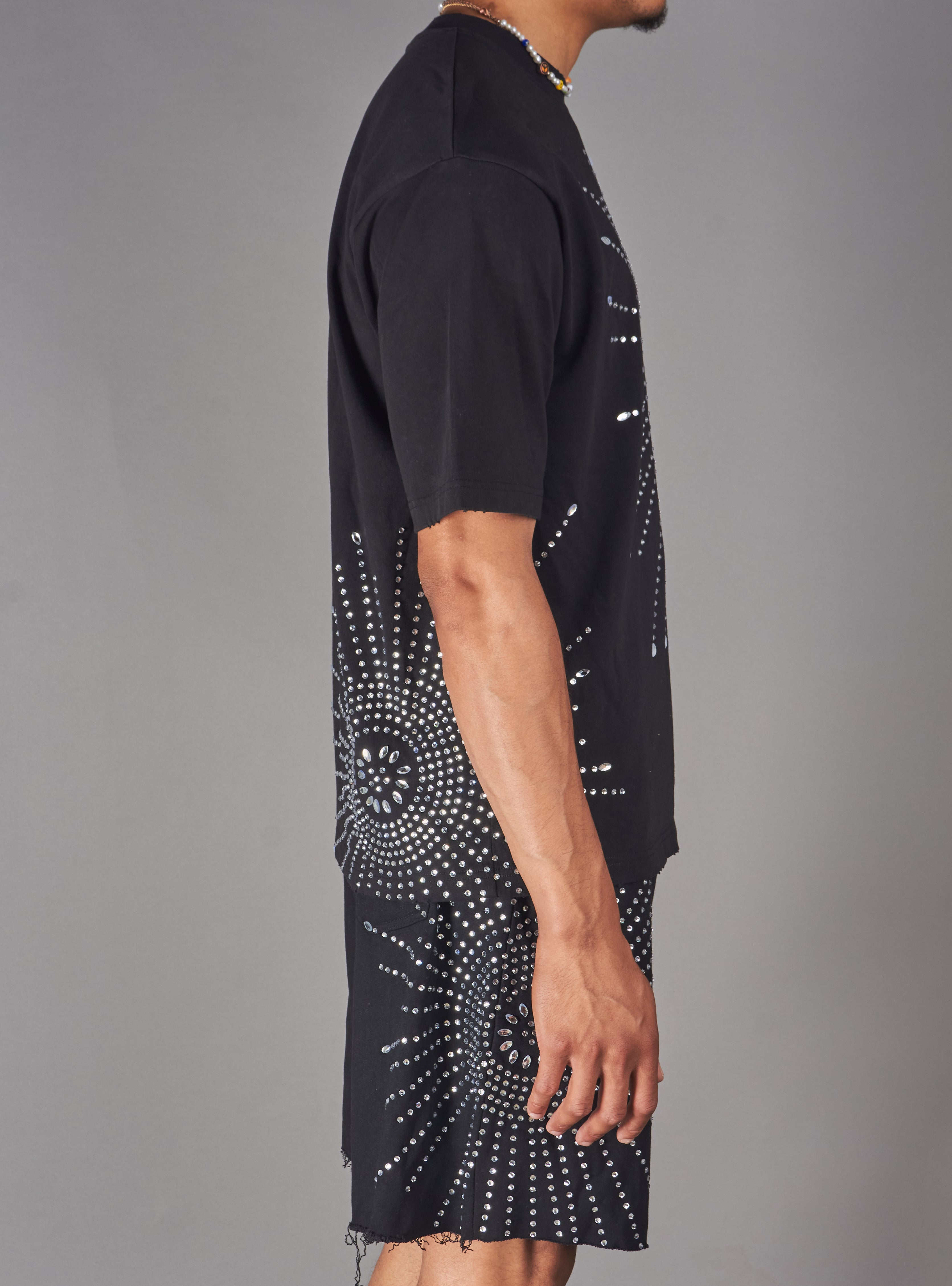 Politics T-Shirt - Pryden - Silver On Black - 089