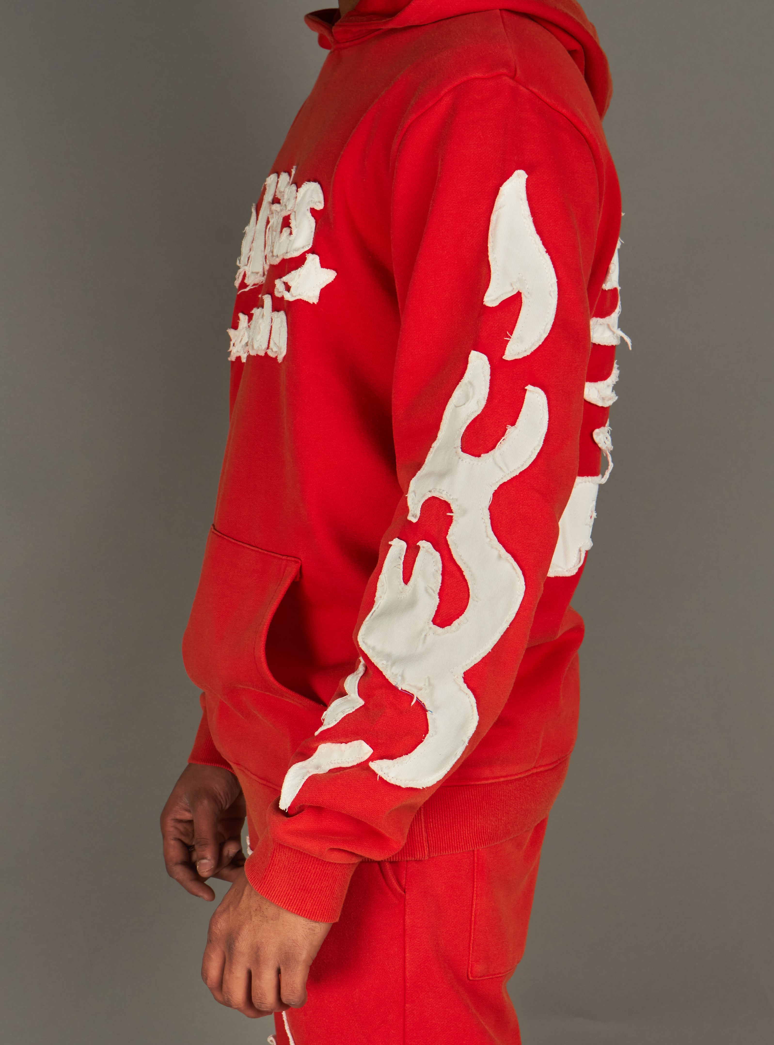 Politics Hoodie - Oz - Red WASH - 605