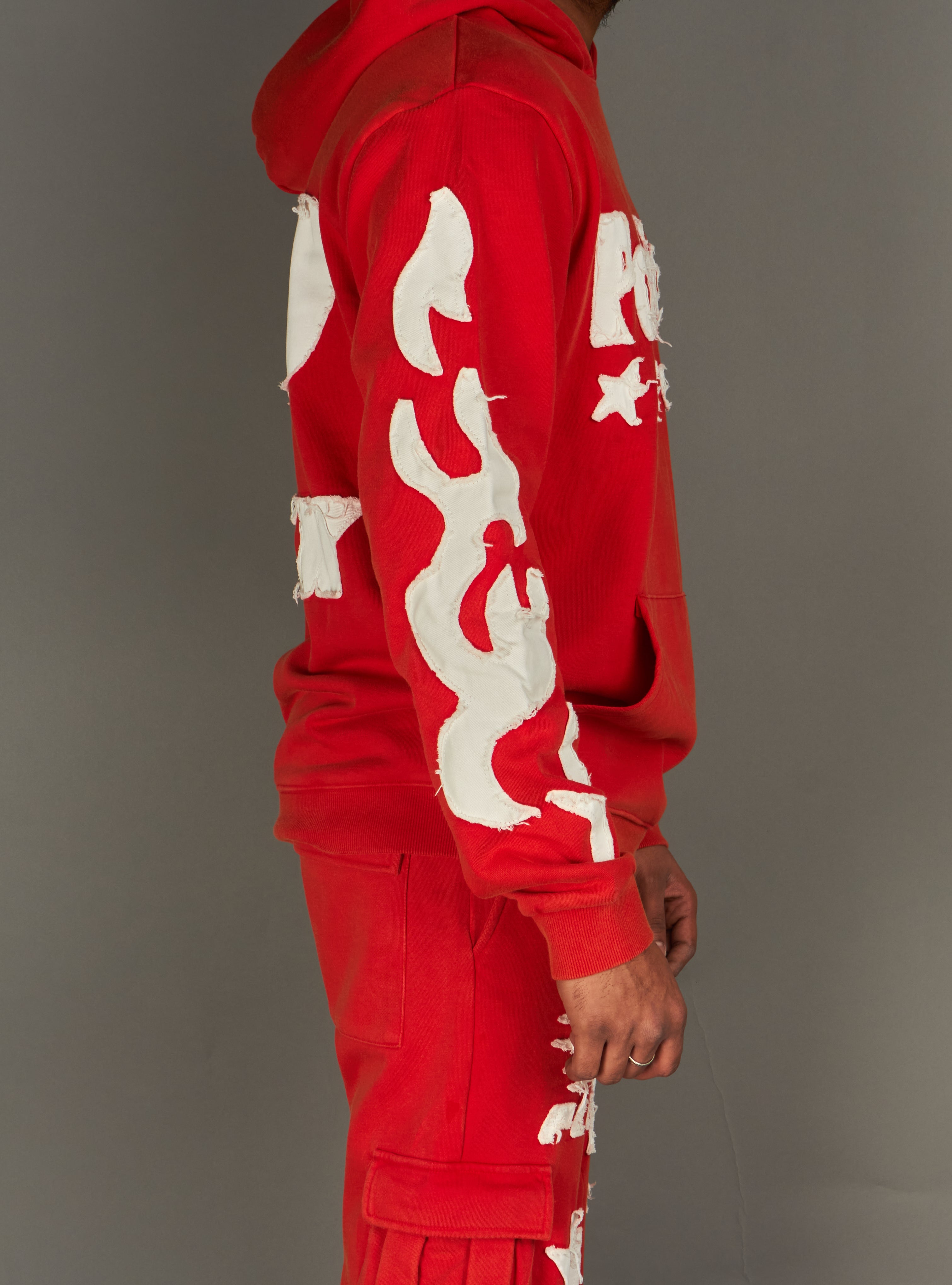 Politics Hoodie - Oz - Red WASH - 605