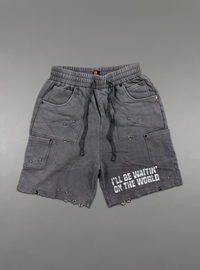Politics Short Set - Zylar/Quinn - Grey - 301-309