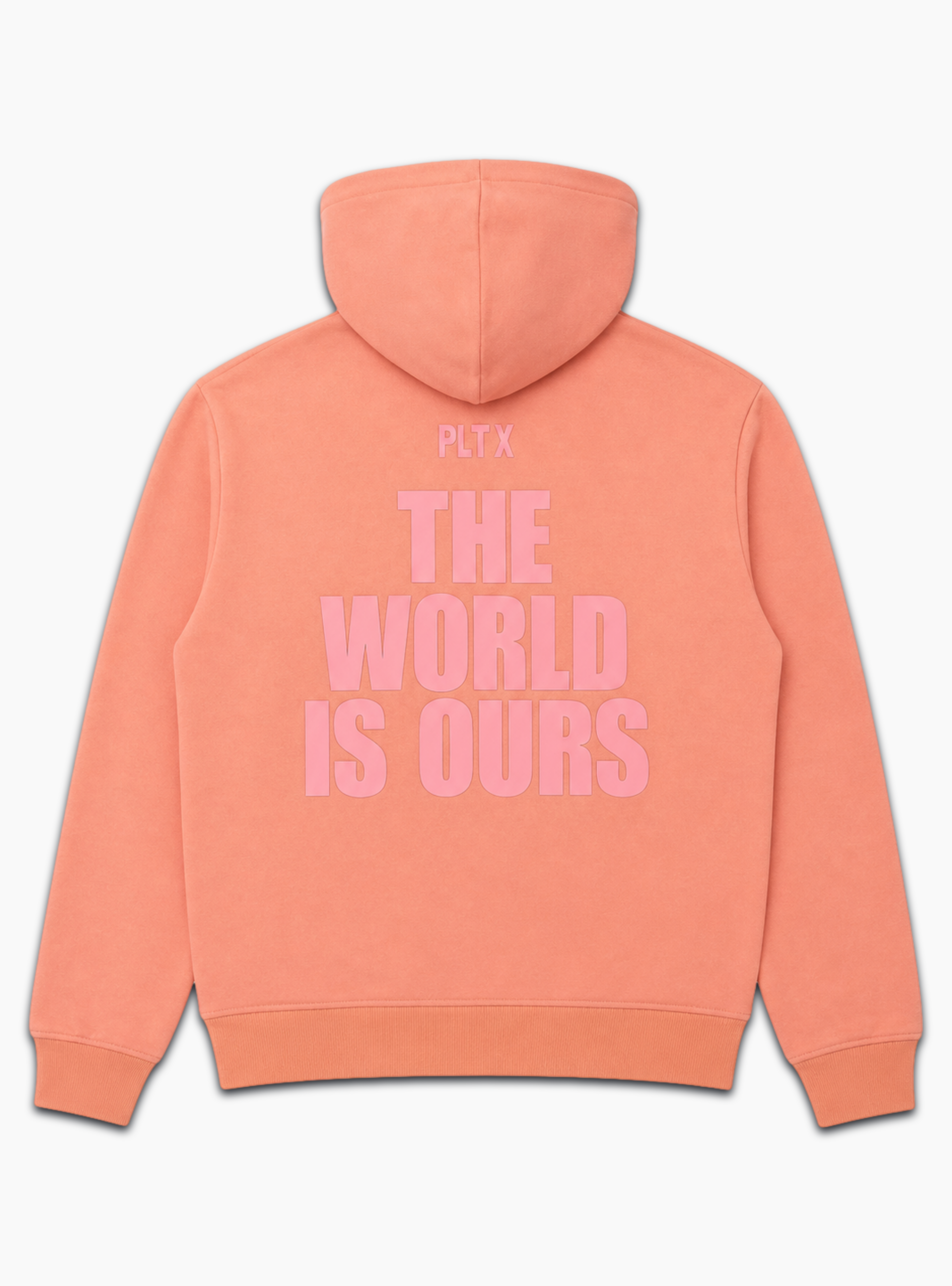 Politics Hoodie - Warden - Pink - 813