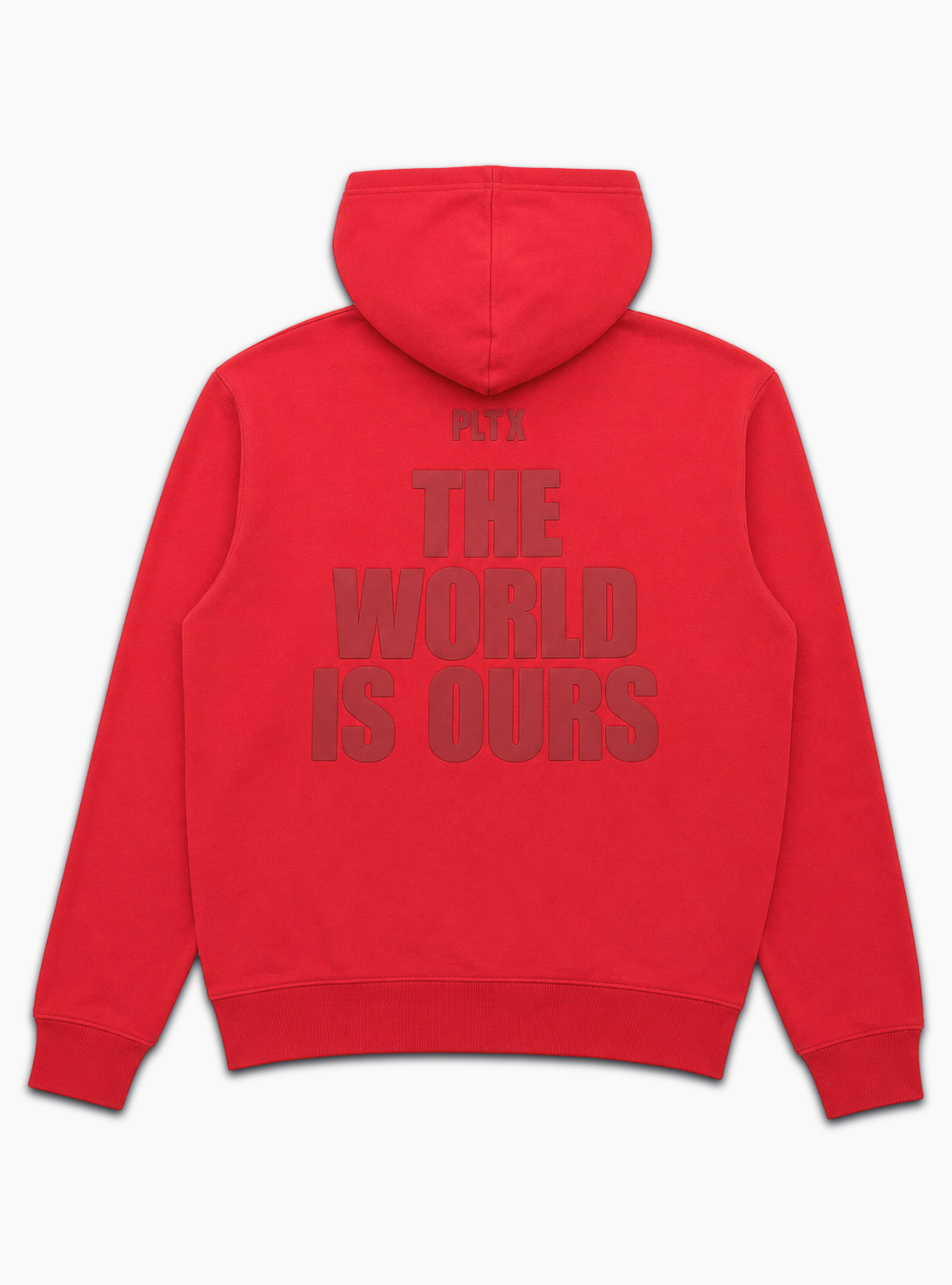 Politics Hoodie - Warden - Red - 812